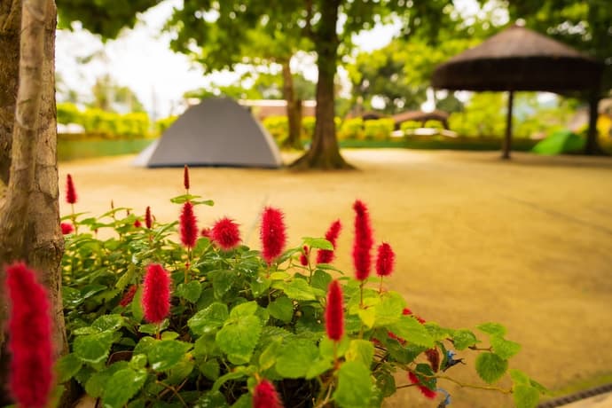 Raio de Sol Pousada & Camping