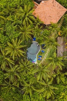 Butterfly House Bahia