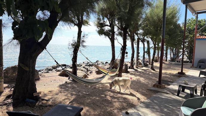 The Place at the Sea