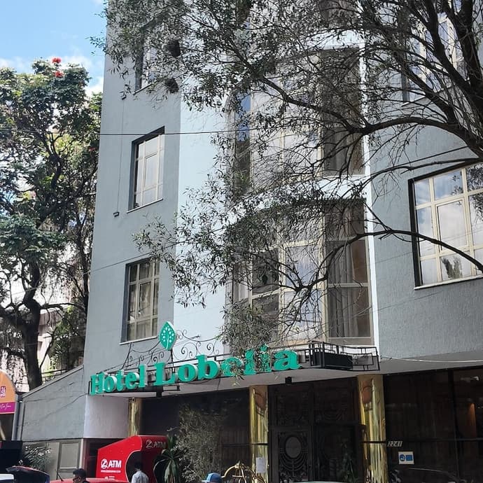Hotel Lobelia, Primary image