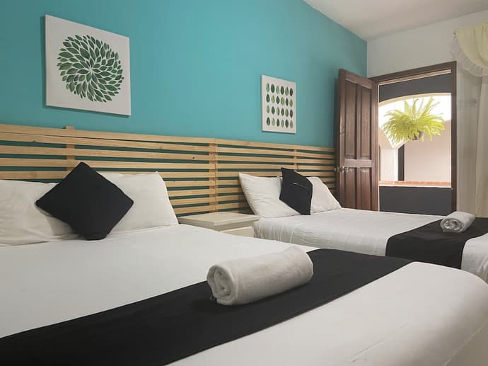 Jardines de Luz, Primary image