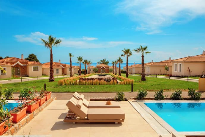 Zeus Eleva Ajul, Primary image