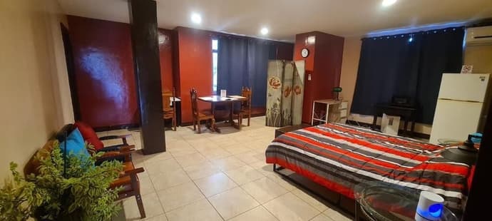 Palau Paradise Comfort, Primary image