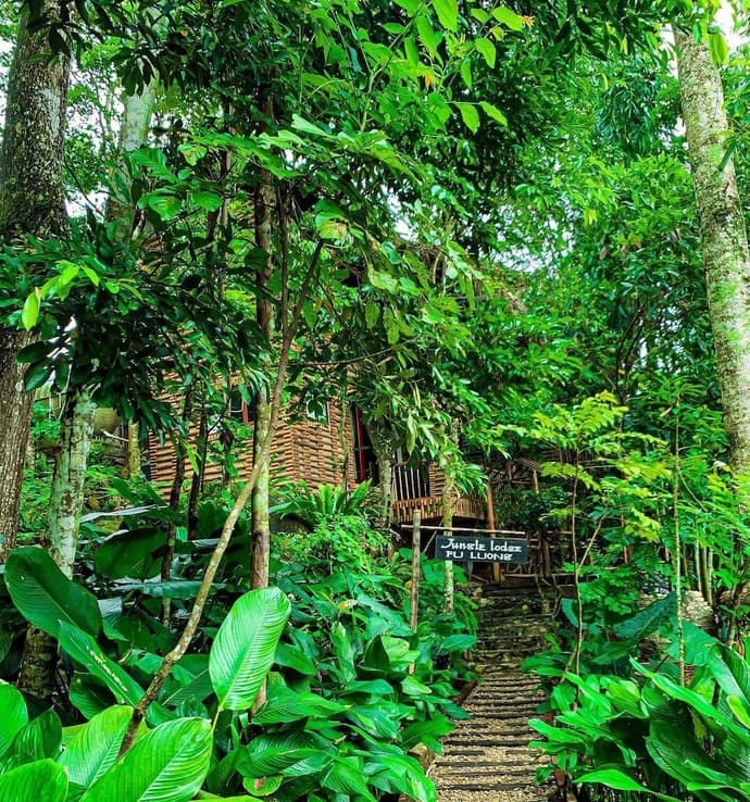 Pu Luong Jungle Lodge
