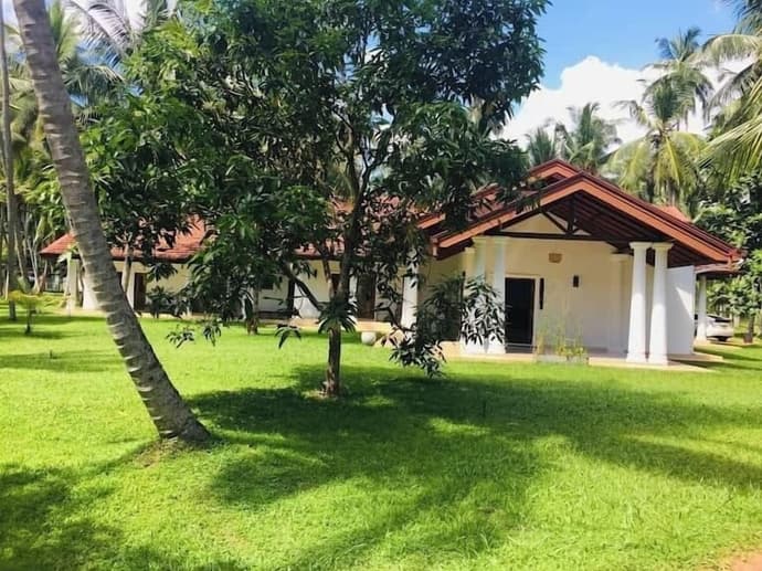 Coco Villa Peach Tree