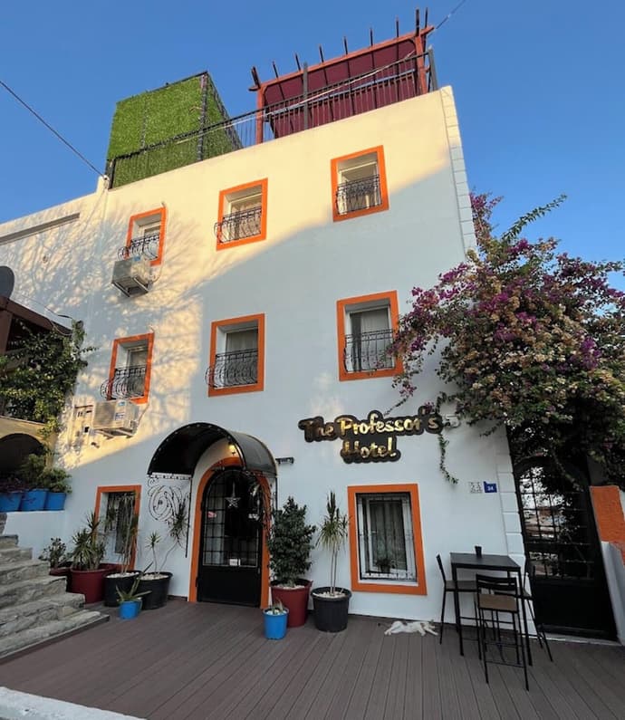 The Professor's Hotel