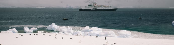 Ultimate Antarctica: Falklands, South Georgia & the Antarctic Circle