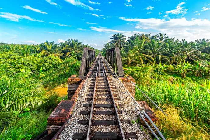 Malaysia's Jungle Railway Adventure