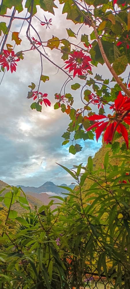 Machupicchu Adventure