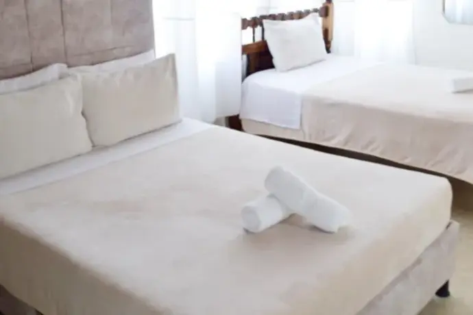 Hotel Colonial El Gran Fenix, 