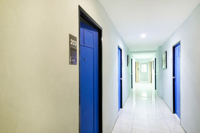 The Chilli Salza Patong