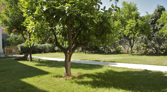 La Peonia Bed & Breakfast Di Charme