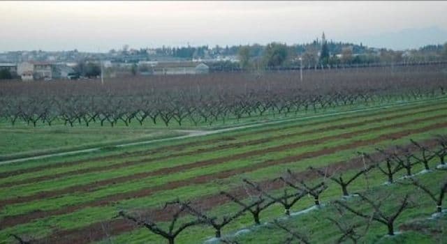 AGRITURISMO AL BARCO