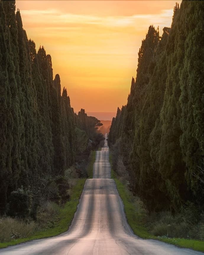 BOLGHERI RESORT