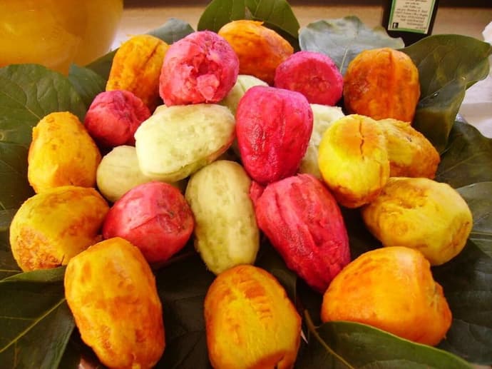 PICCOLO HOTEL VILLA ROSA