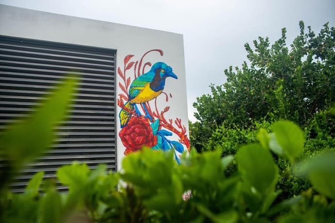 Departamentos Internazionale