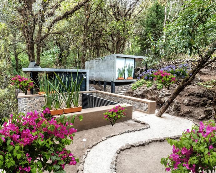 Fungi Tepoz Cabins
