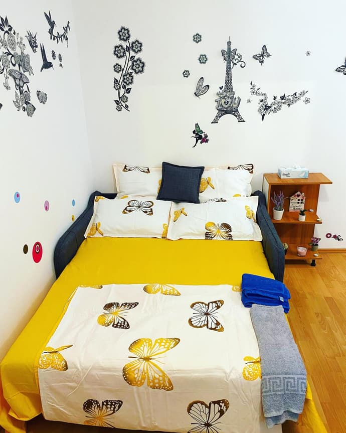 Casa Andu Centru