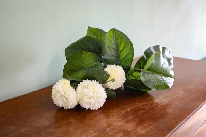 Domus Antica Trastevere