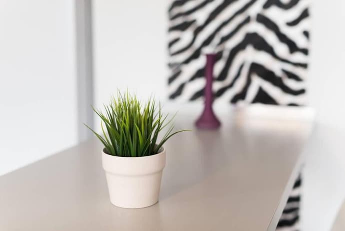 Studio Aleja Pokoju, 