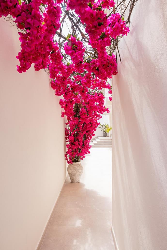 Malacosta A - MC Apartments Ibiza