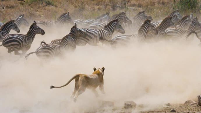Through the Rift Valley, Serena Lodges - Private Tour
