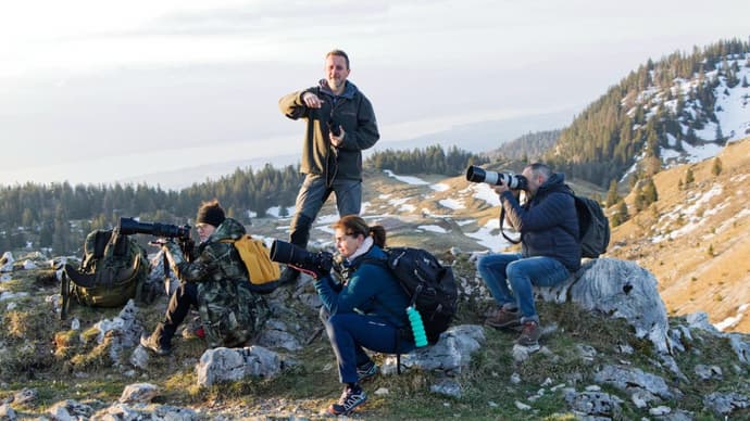 Découvrez l'art de la photo animalière dans le Jura