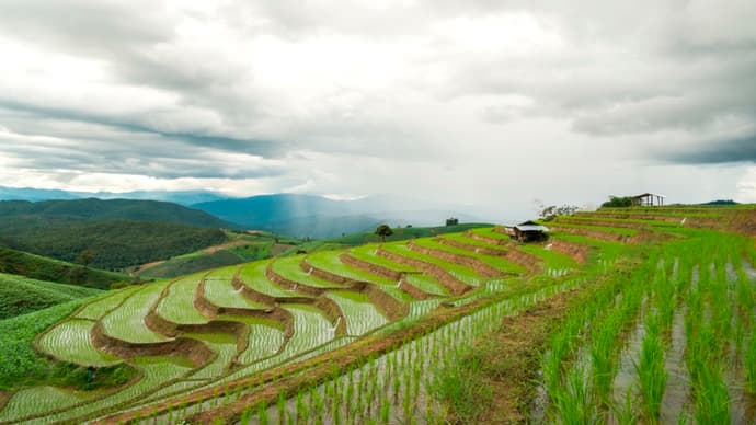 Paquete 3 noches en Chiang Mai