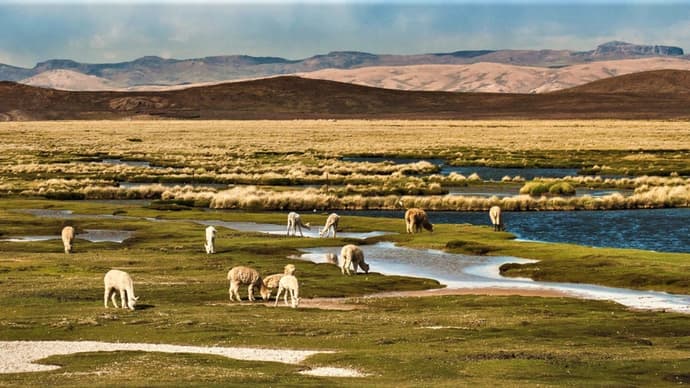 Circuit Pérou en mode exclusif