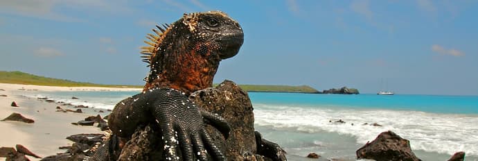 Ecuador Inolvidable con Galápagos