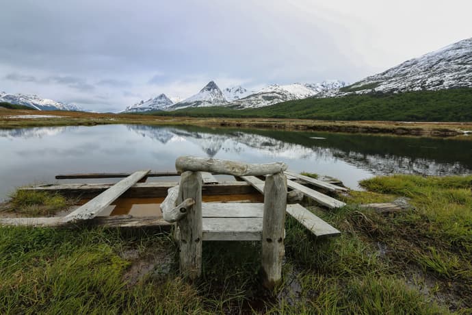 Clasica Top Patagonia