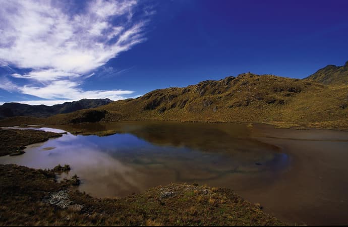 Andes y Galápagos