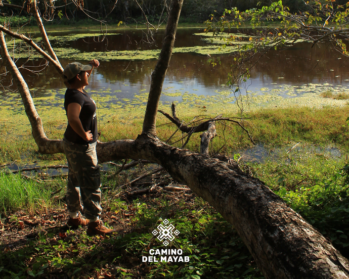 El Camino del Mayab