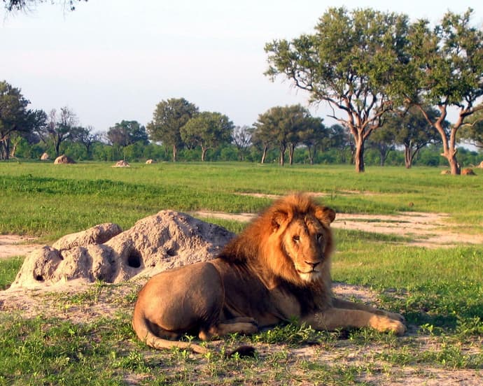 ROVOS RAIL, Victoria Falls (Pretoria- Cataratas Victoria)
