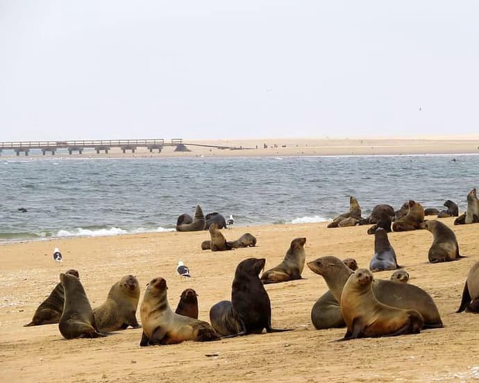 EL SUR DE NAMIBIA 2026