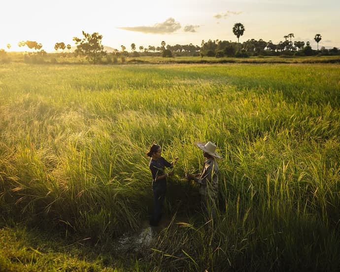 Privatrundreise „Battambang & Kambodschas Landleben“