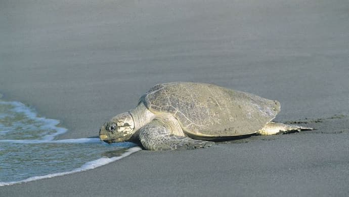 Rundreise "Karibik mal anders"