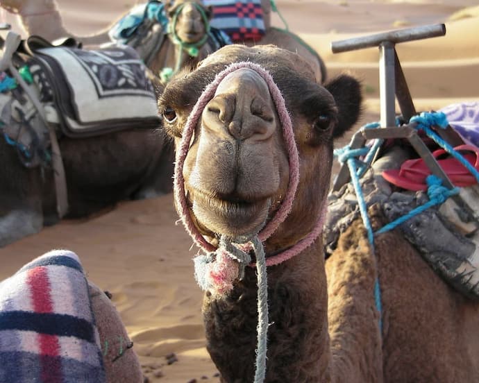 Città Imperiali del Marocco 