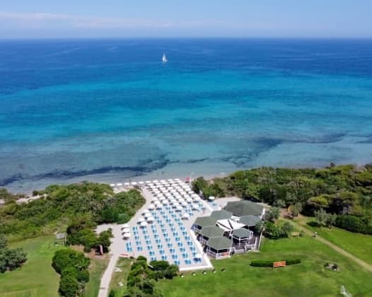 PUGLIA: BRAVO ALIMINI