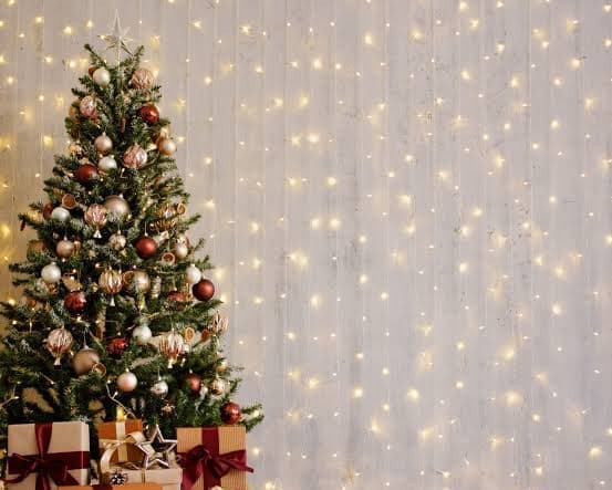 Noche mágica en Magallanes - Navidad en Hotel Almasur Punta Arenas