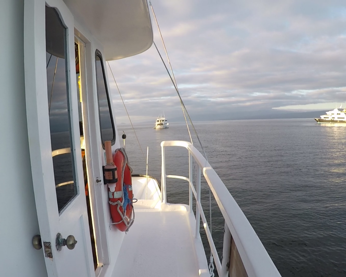 Galapagos Motor Yacht Cruise (5 days/4 nights)