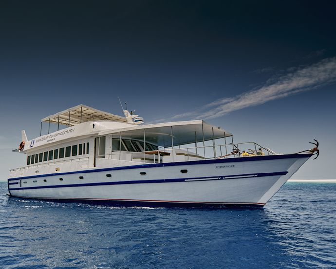 Schnorchelsafari und Inselhüpfen auf der MV Horizon 2