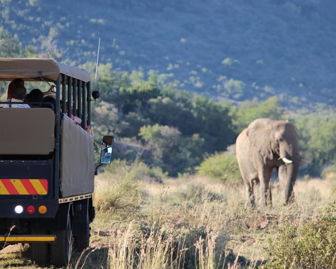 EXPERIENCIA SUDAFRICA