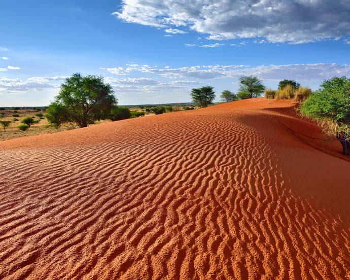 DESIERTOS DE NAMIBIA 2026