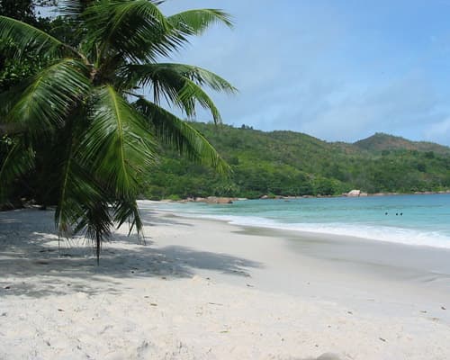ISLAS SEYCHELLES 4*: HOTEL COCO DE MER (7 NOCHES EN HABITACION SUPERIOR EN AD)
