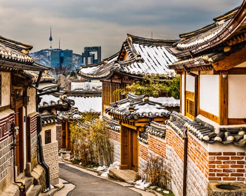 VICA - Seul y Japón Increíbles