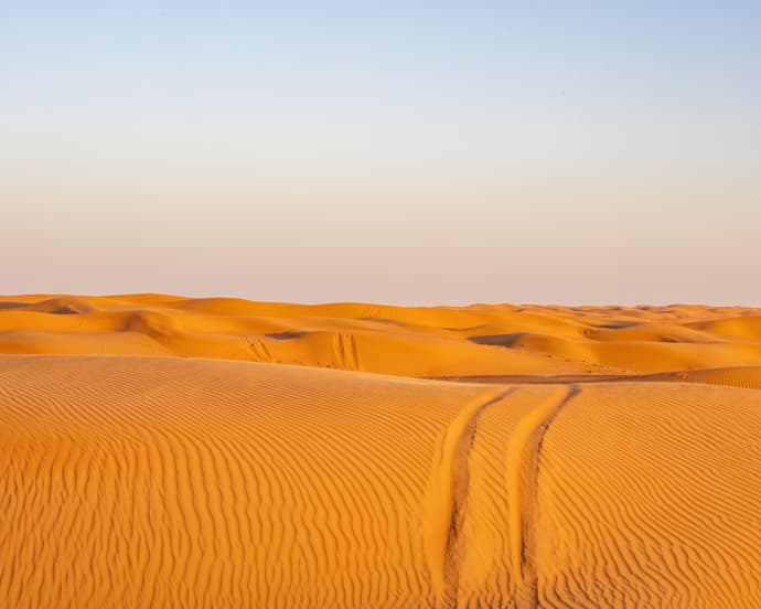 Desert And Coastal Safari (4WD)