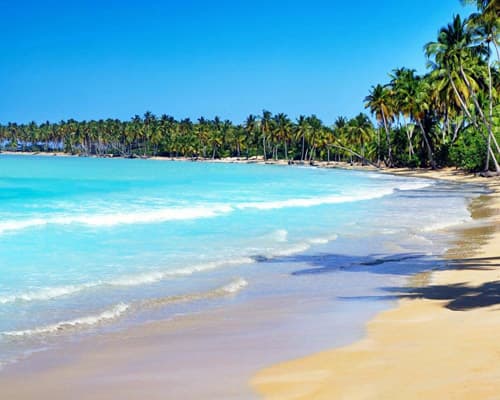 Navidad en el Paraíso Caribeño 31 de diciembre 2026
