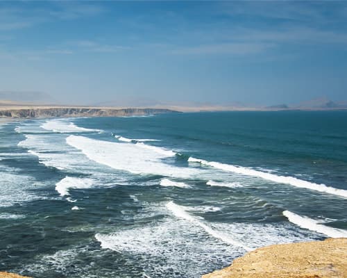 Collection of charms