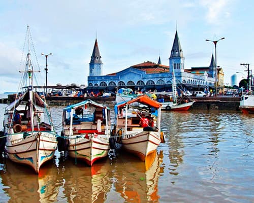 Expedición Amazonas: viaje al corazón verde
